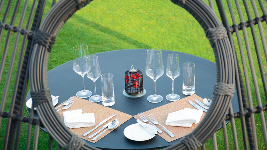 Destination Ding on the Lawn